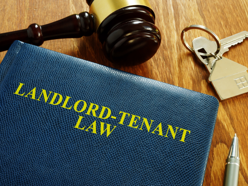 Albert Dweck of Duke Properties: Understanding Landlord Rights